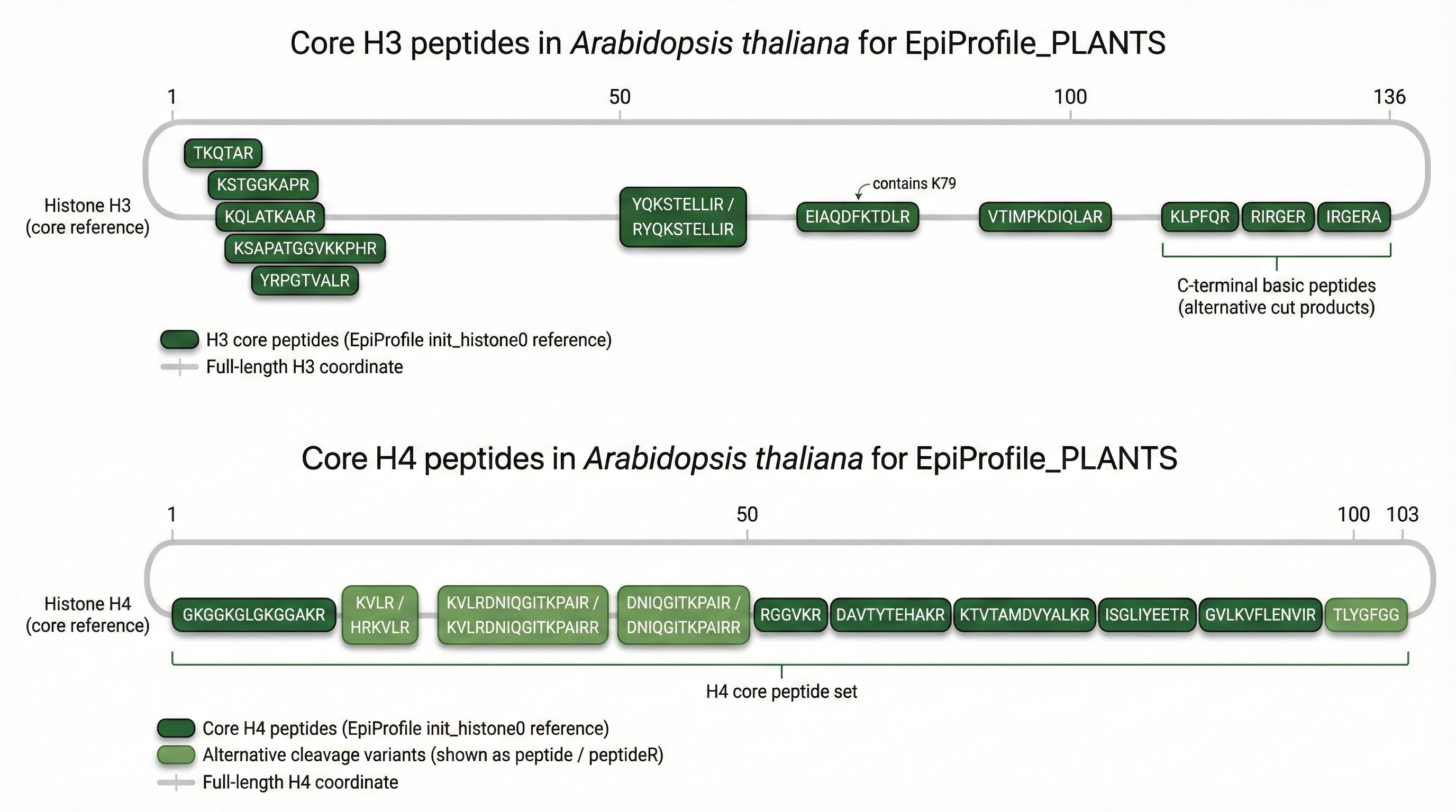 Core H3 and H4 peptide coordinate map showing peptide positions along the full-length histone proteins, including K79-containing EIAQDFKTDLR