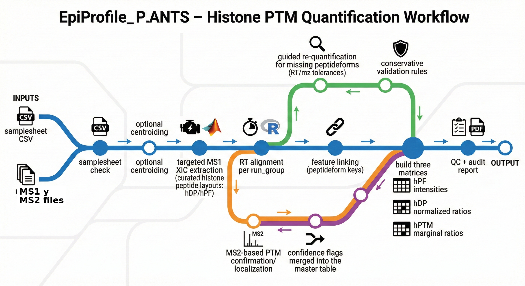 EpiProfile_PLANTS metro-map workflow: MS1 targeted extraction, MS2 confirmation, re-quantification loop, and confidence validation paths producing hPF/hDP/hPTM output matrices