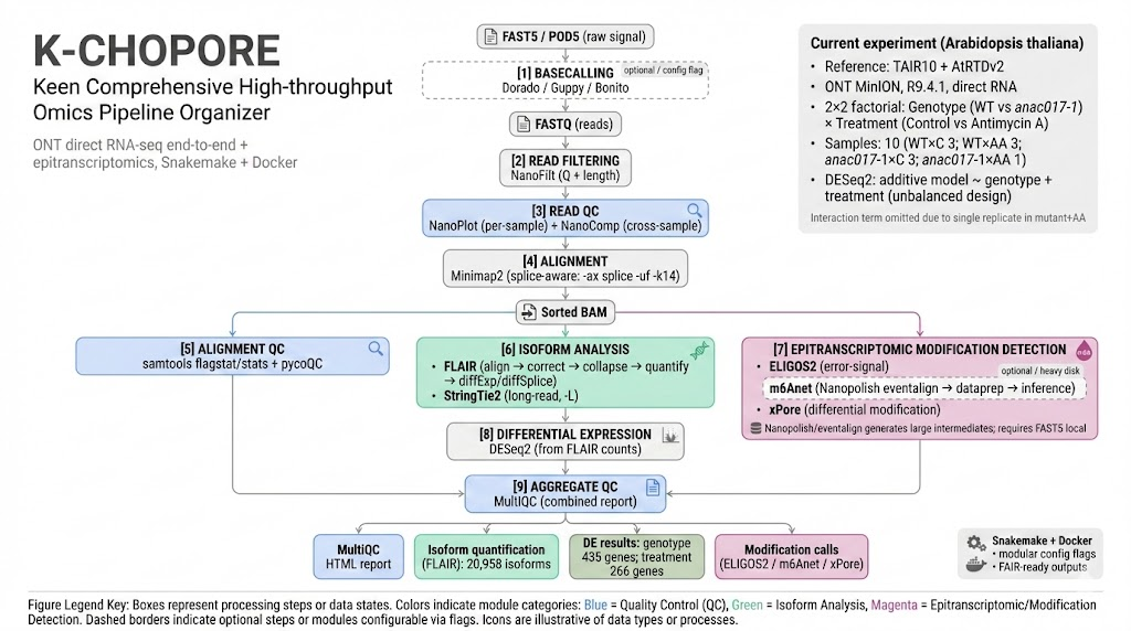 K-CHOPORE 9-stage pipeline diagram — from basecalling through epitranscriptomics to final report