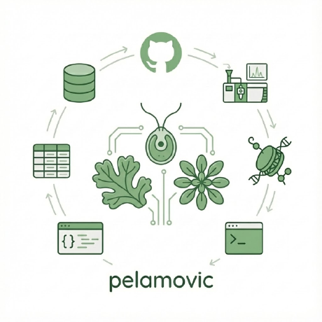 Pelamovic logo, avatar of Pelayo González de Lena