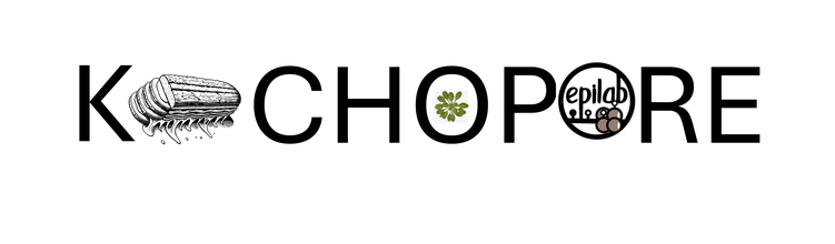 K-CHOPORE logo