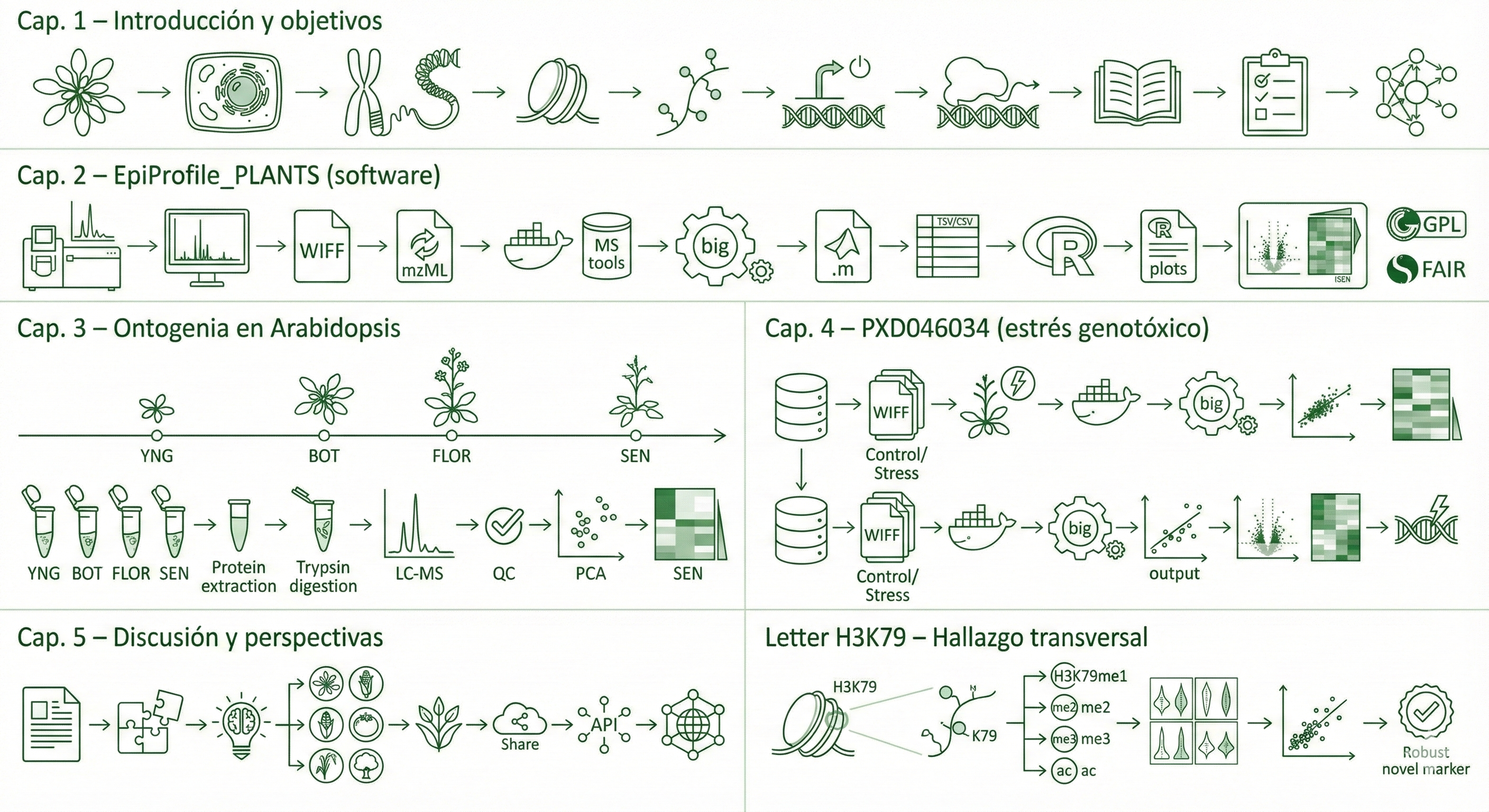 PhD thesis visual overview